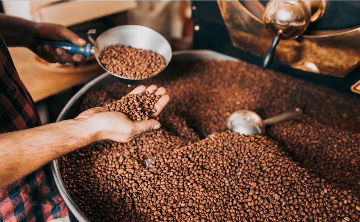 Fabula Coffee