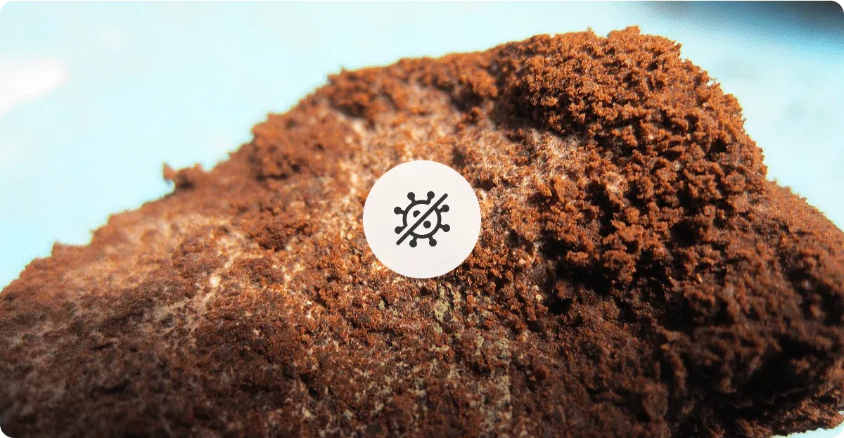 Fabula Coffee
