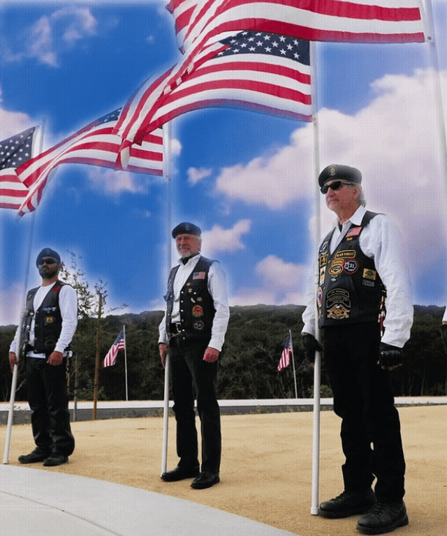 Veterans Veterans