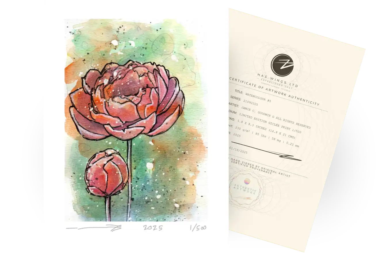 A profound painting of two peonies in an abstract illustrative style, one opening and one closed. Watercolour 2 Series 21092025 showing free limited edition print from Jamie C Goodwin available at jamiehaswings.com