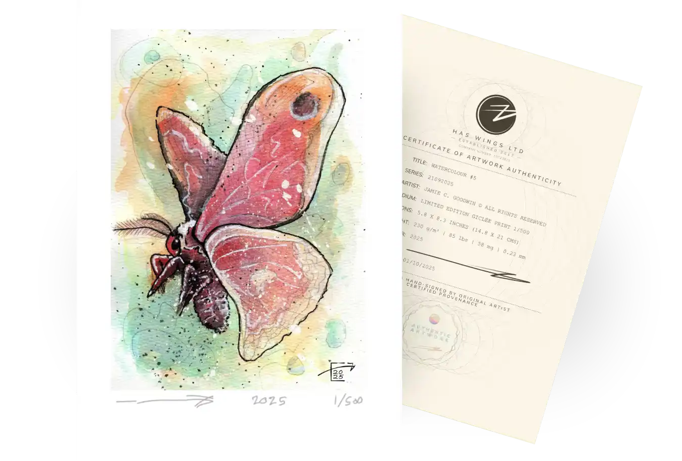 A delicate painting on an atlas moth exuding etheral qualities from the mix of abstract and figurative colours. Watercolour 3 Series 21092025 showing free limited edition print from Jamie C Goodwin available at jamiehaswings.com