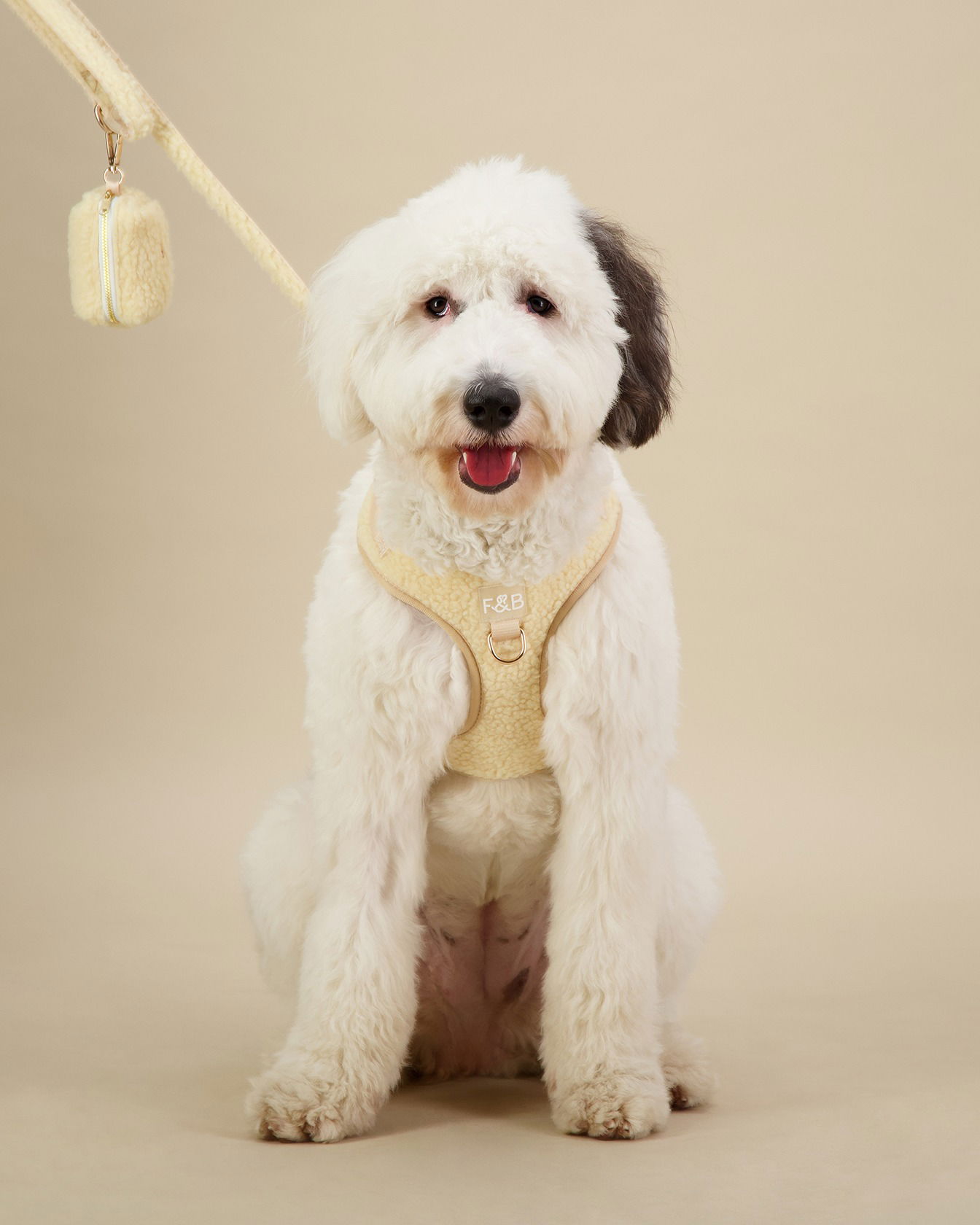 Pet product photography – dog harness close-up