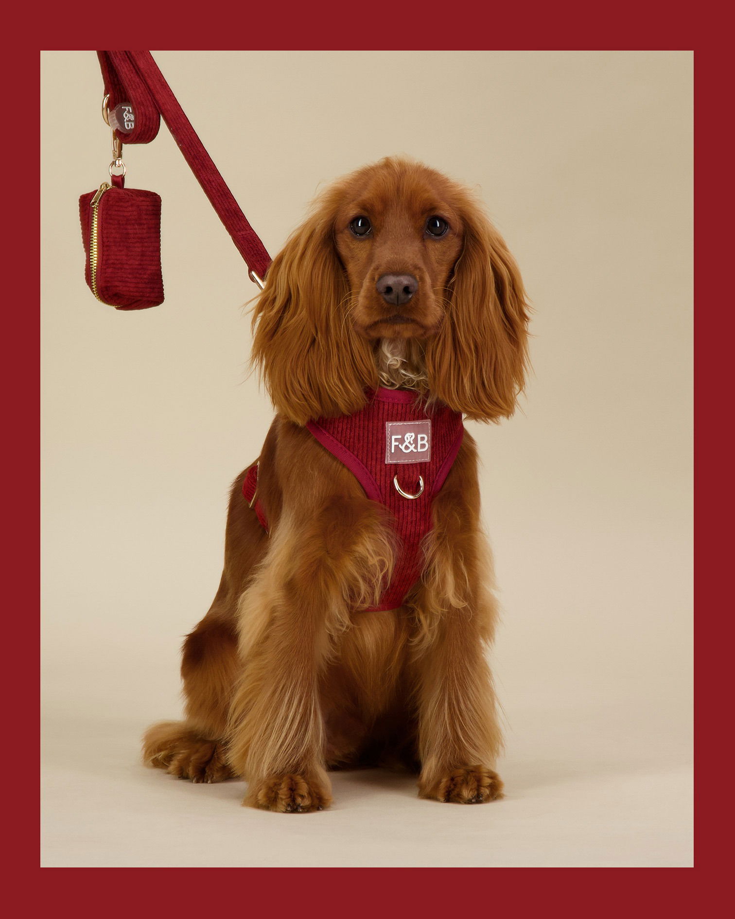 E-commerce On-model Video - Photography | Brisbane Studio