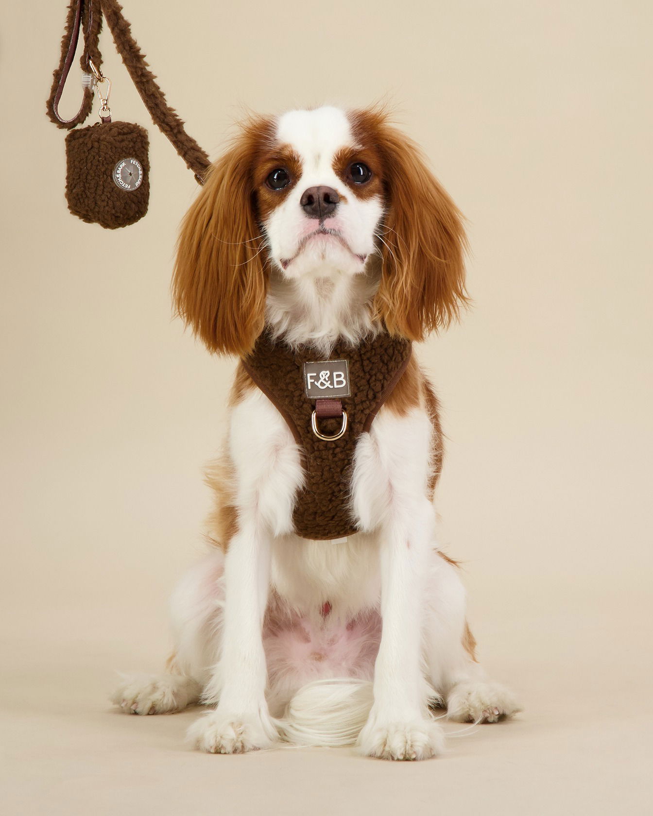 Studio photos of dog travel accessories for e-commerce