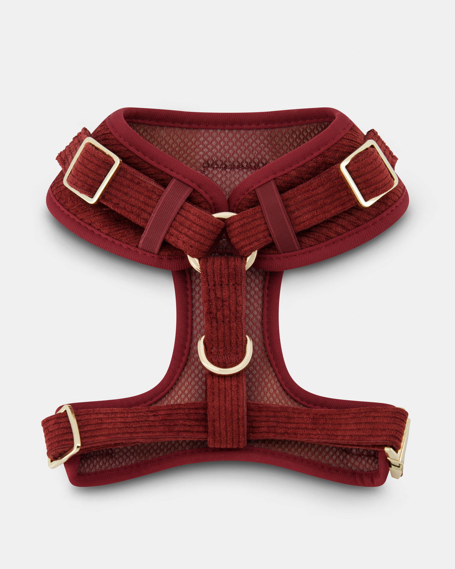 Single dog harness photographed in a Brisbane studio, highlighting design, materials, and quality of this pet accessory