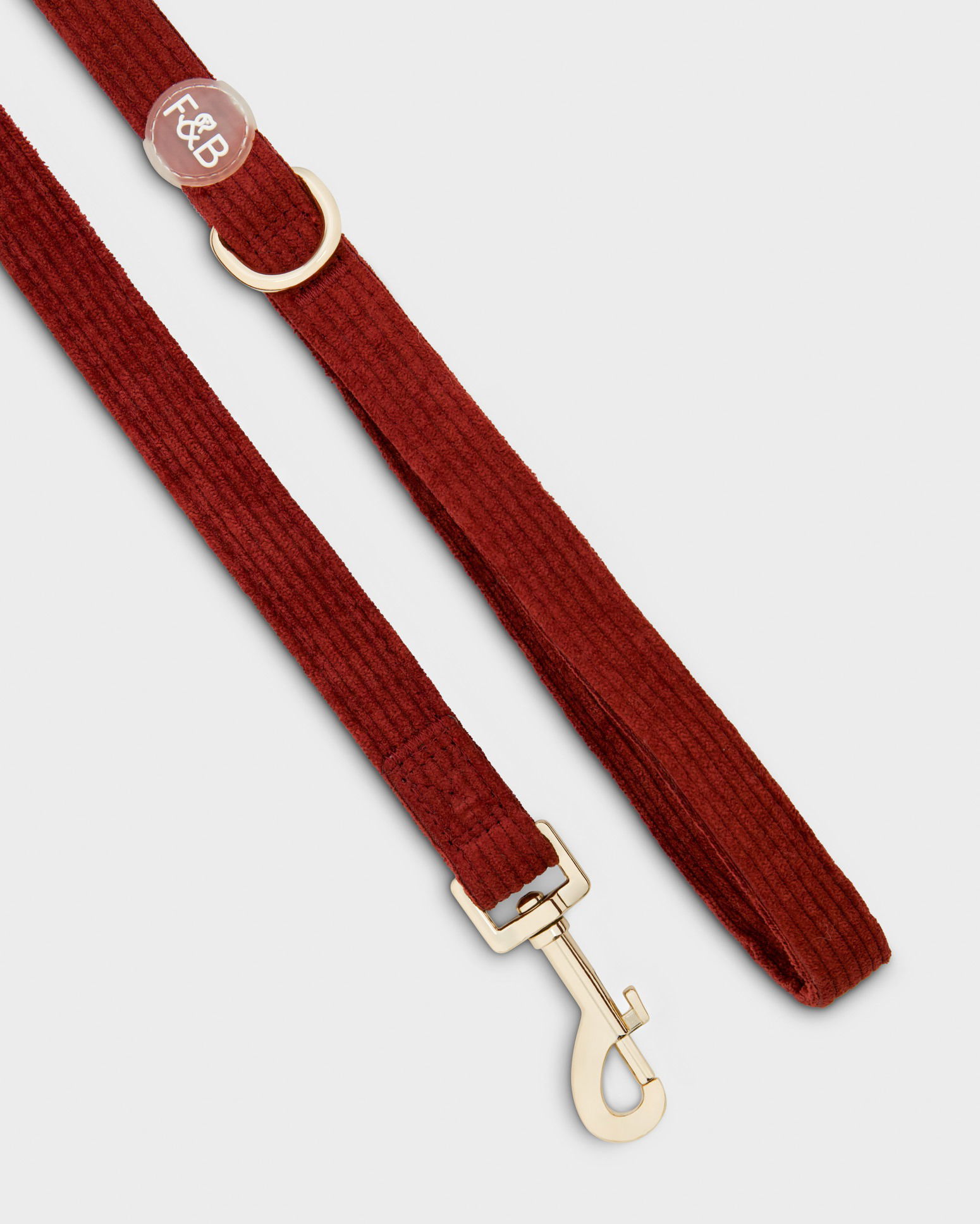 Close-up of a single dog harness photographed in a Brisbane studio, highlighting design, materials, and quality of this pet accessory