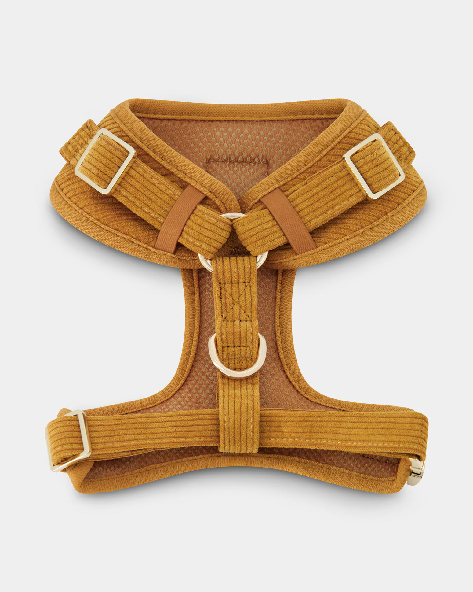 Single dog harness photographed in a Brisbane studio, highlighting design, materials, and quality of this pet accessory