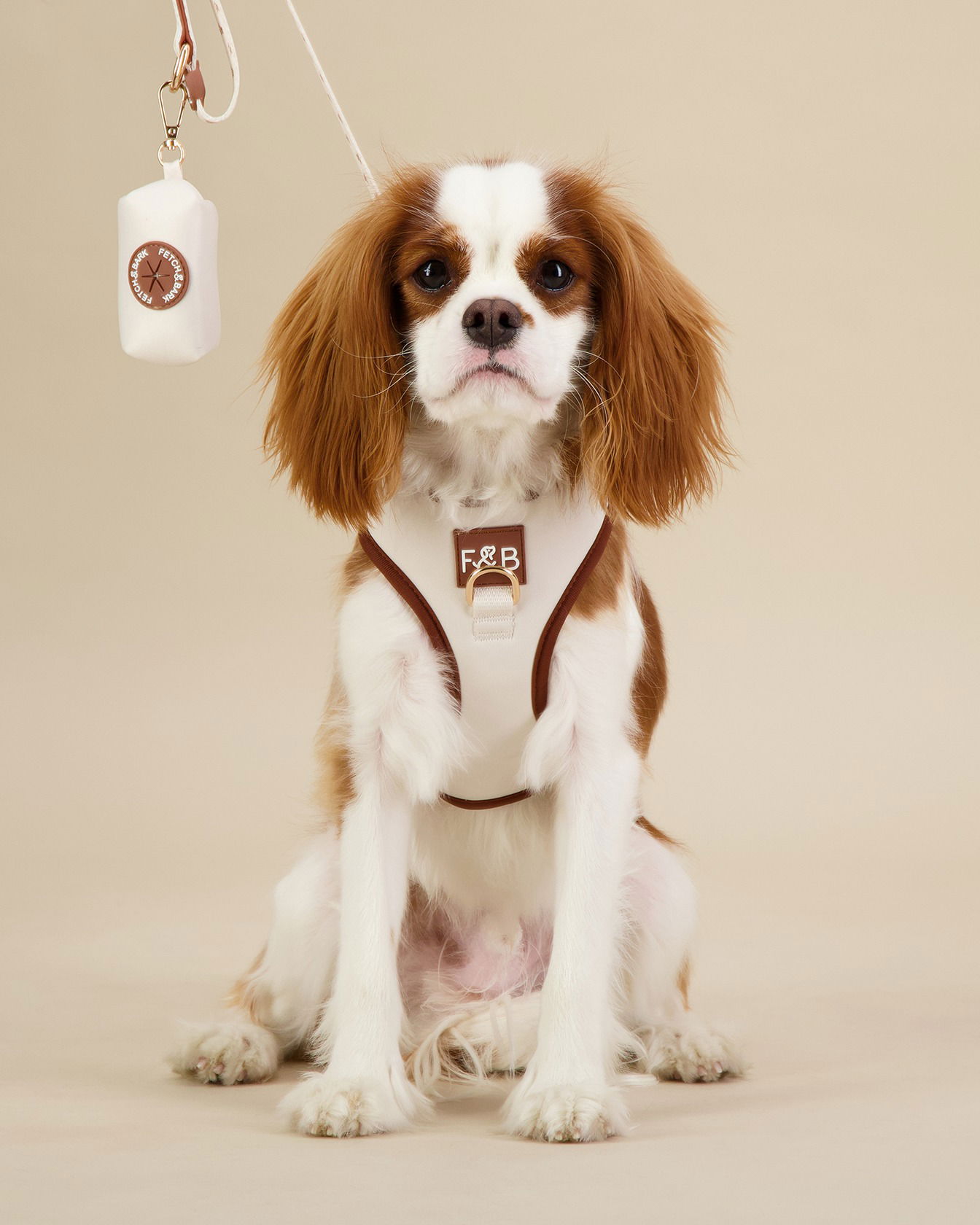 Expert pet product photography – dog grooming tools