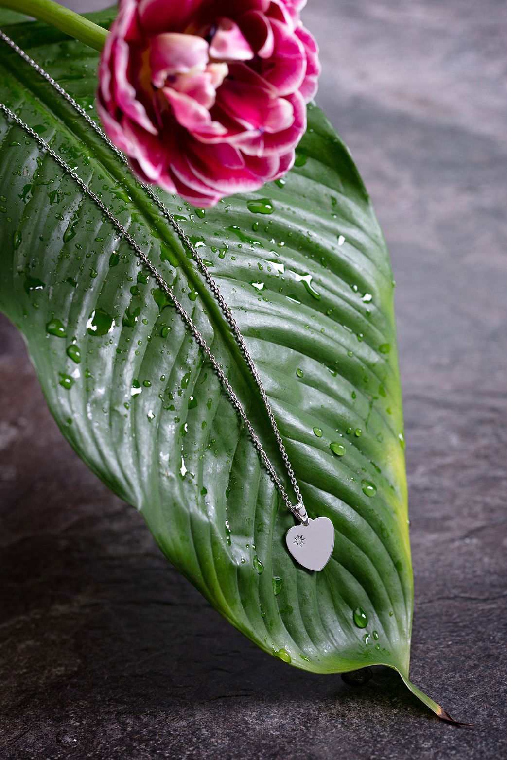 Creative photography jewellery